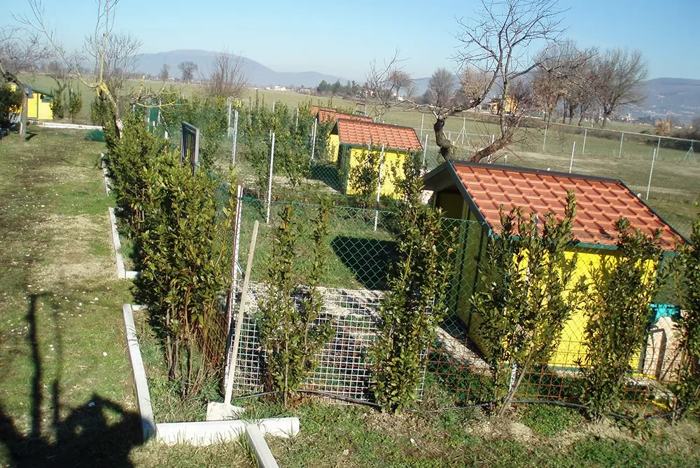 box-per-pensioni-cani