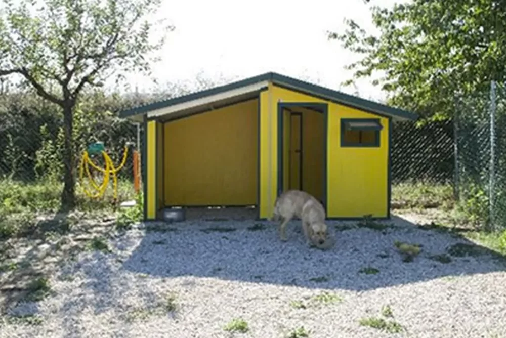 pensione spoleto per cani lunghi e corti periodi