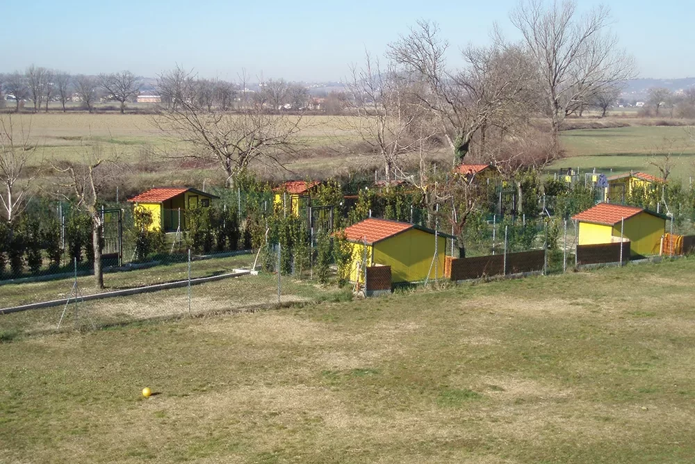 soggiorni per lunghi-per-cani