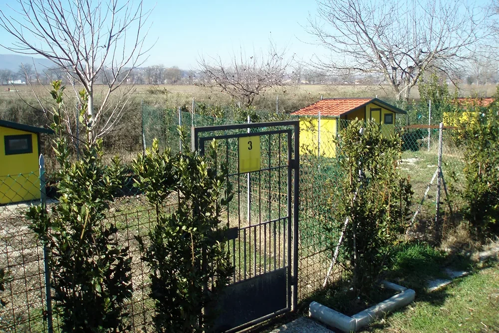 struttura ricettiva per cani